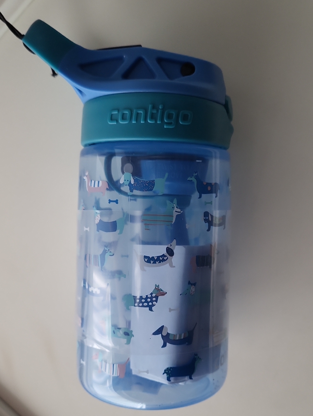 Contigo Kids Water Bottle in Teal and Blue with Dachshund Pattern
